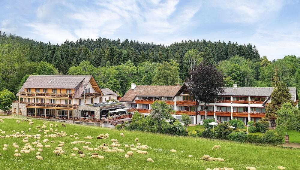 Hotel Gruener Wald Фройденштадт Экстерьер фото