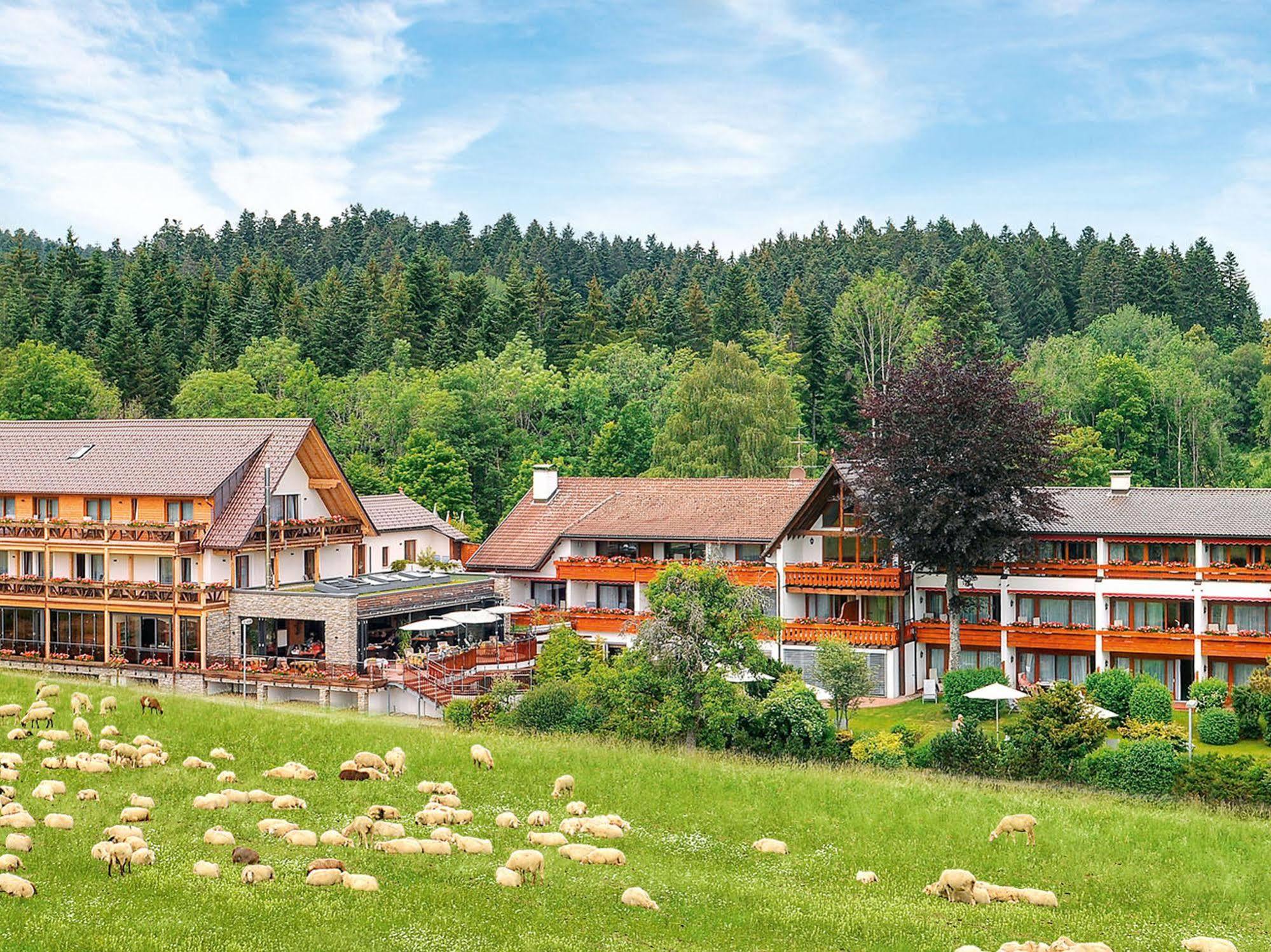 Hotel Gruener Wald Фройденштадт Экстерьер фото